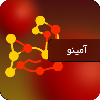 آمینو